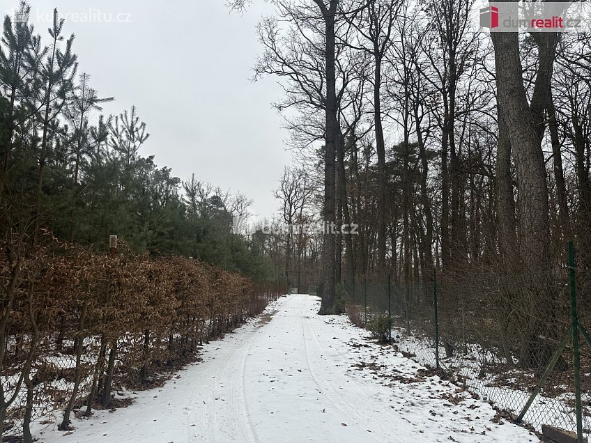 Prodej  chaty 158 m^2 Kersko, Hradištko 