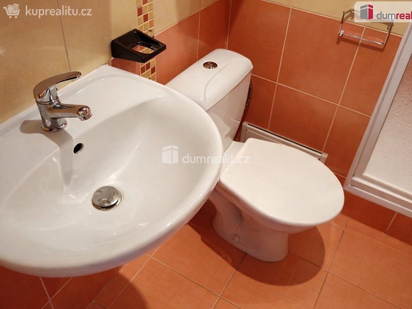 Pronájem bytu 1+kk 25 m^2 Želenická, Děčín 