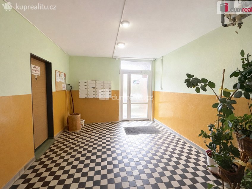 Pronájem bytu 1+1 38 m^2 Pincova, Ústí nad Labem 