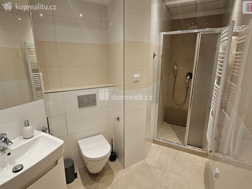 Pronájem bytu 2+kk 44 m^2 Slezská, Praha 3 