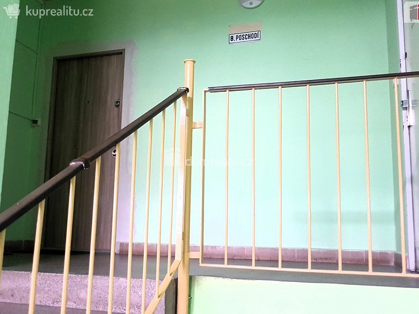 Pronájem bytu 1+1 36 m^2 Vídeňská, Brno 