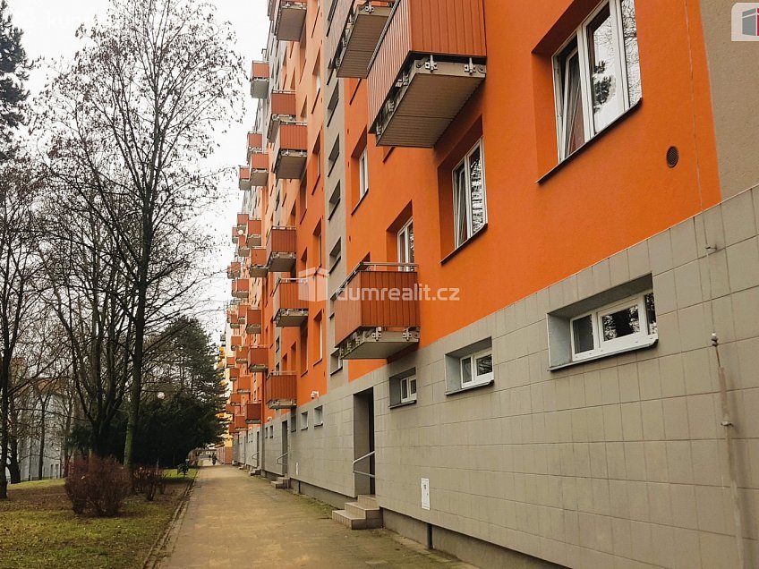 Pronájem bytu 1+1 36 m^2 Vídeňská, Brno 