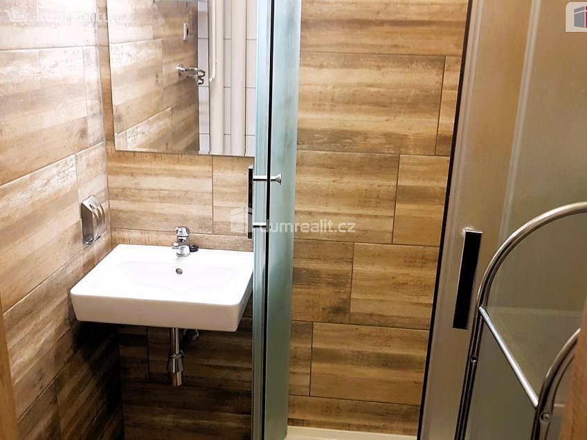 Pronájem bytu 1+1 36 m^2 Vídeňská, Brno 