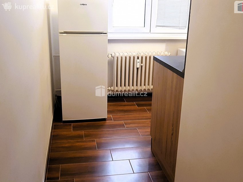 Pronájem bytu 1+1 36 m^2 Vídeňská, Brno 