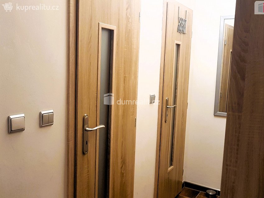 Pronájem bytu 1+1 36 m^2 Vídeňská, Brno 