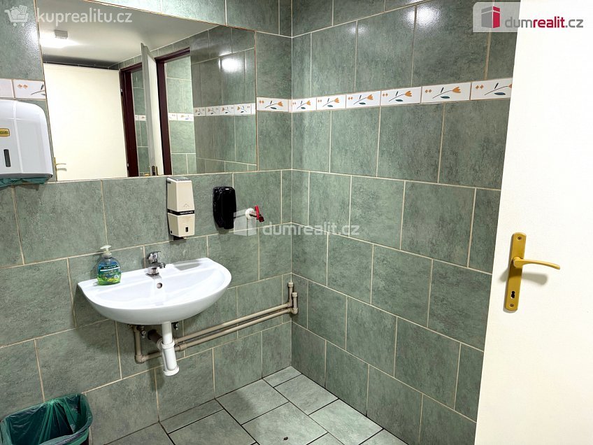 Pronájem  komerční reality 130 m^2 Masarykova, Zlín 