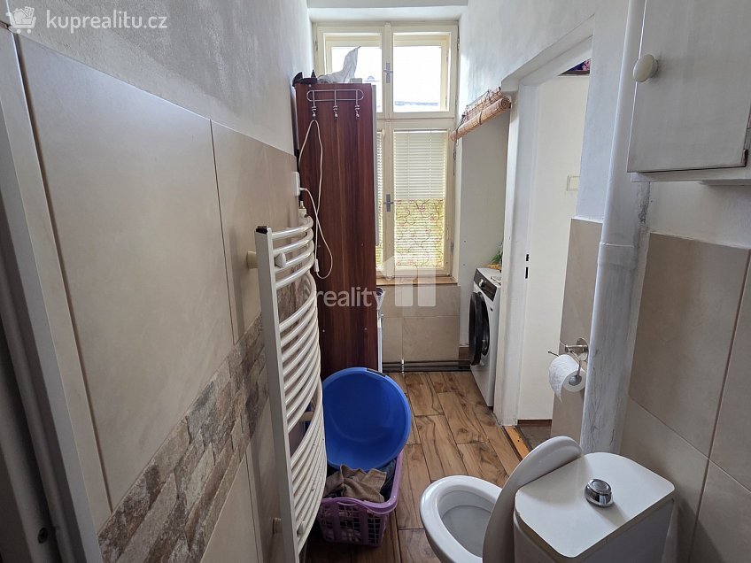 Pronájem bytu 1+1 56 m^2 Brněnská, Jihlava 