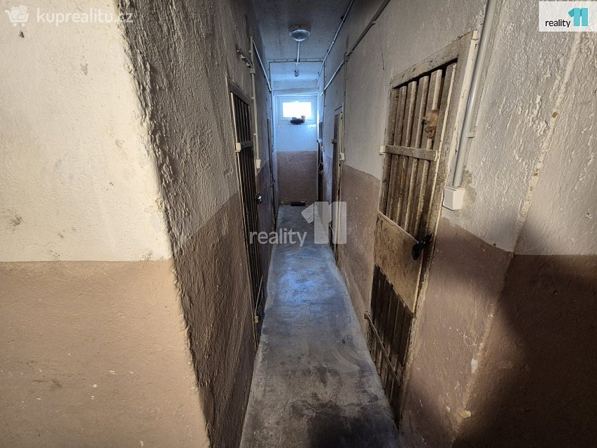 Pronájem bytu 4+1 82 m^2 Skřivánčí, Aš 