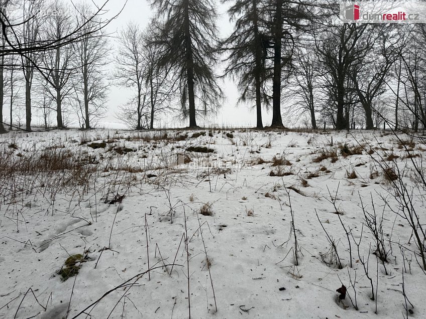 Prodej  stavebního pozemku 416 m^2 Jindřichovice, Jindřichovice 
