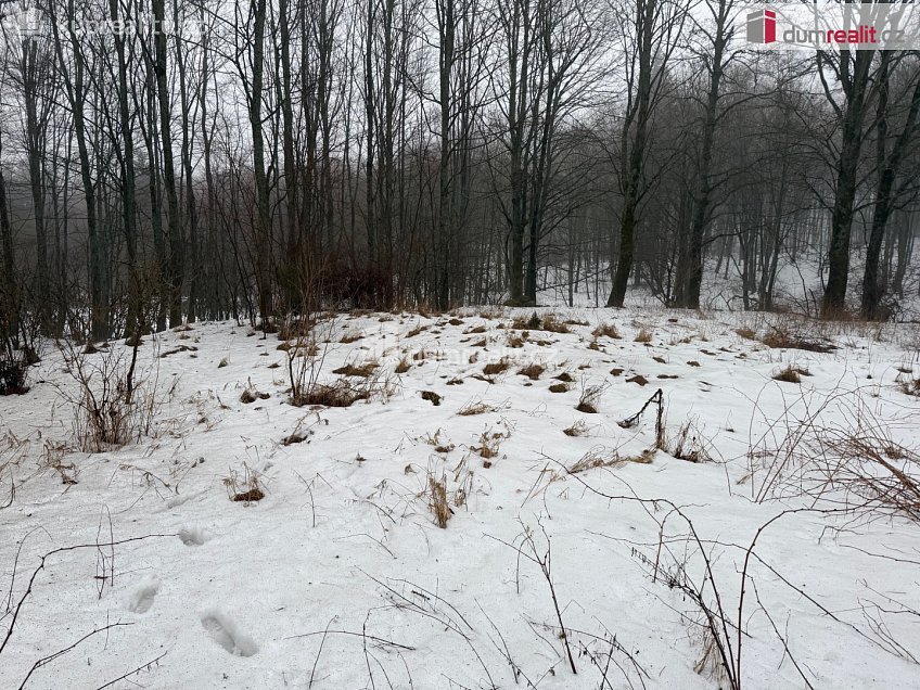 Prodej  stavebního pozemku 416 m^2 Jindřichovice, Jindřichovice 