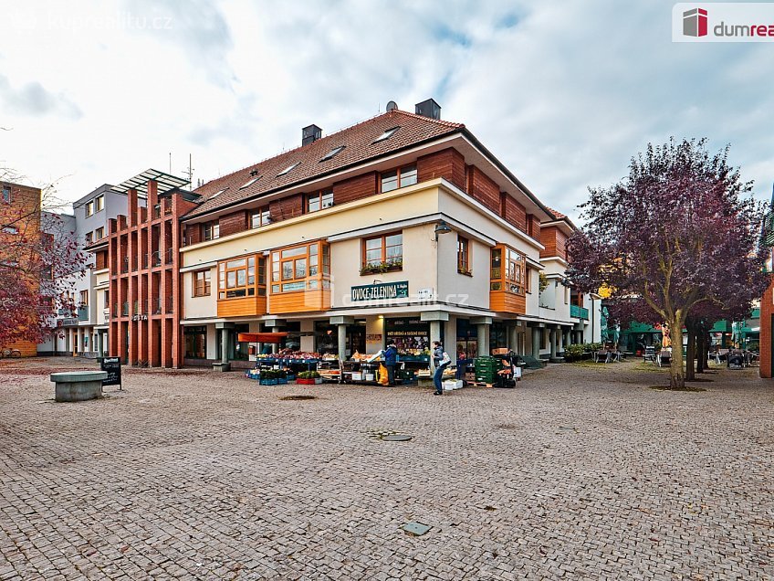 Pronájem bytu 1+kk 20 m^2 Palackého, Dobřichovice 