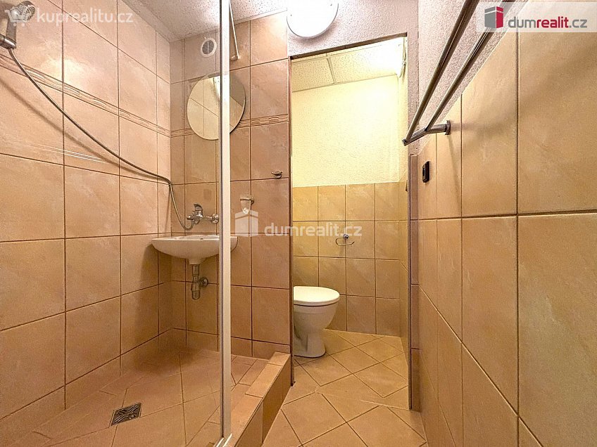 Pronájem bytu 1+1 40 m^2 Křížová, Sokolov 