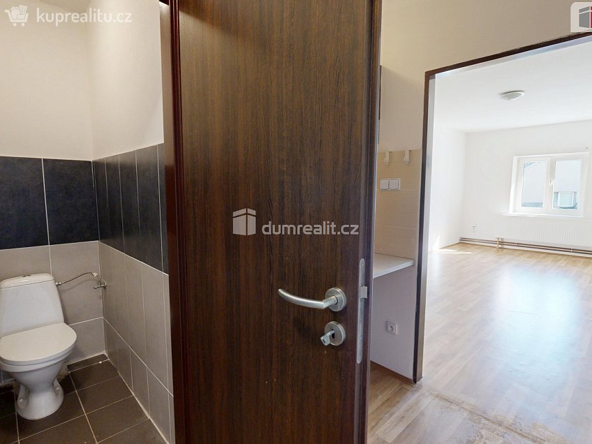 Pronájem bytu 1+1 37 m^2 Podvihovská, Opava 