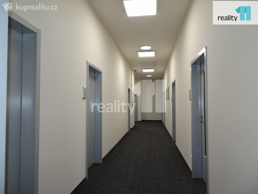 Pronájem  kanceláře 23 m^2 Žižkova, Ústí nad Labem 