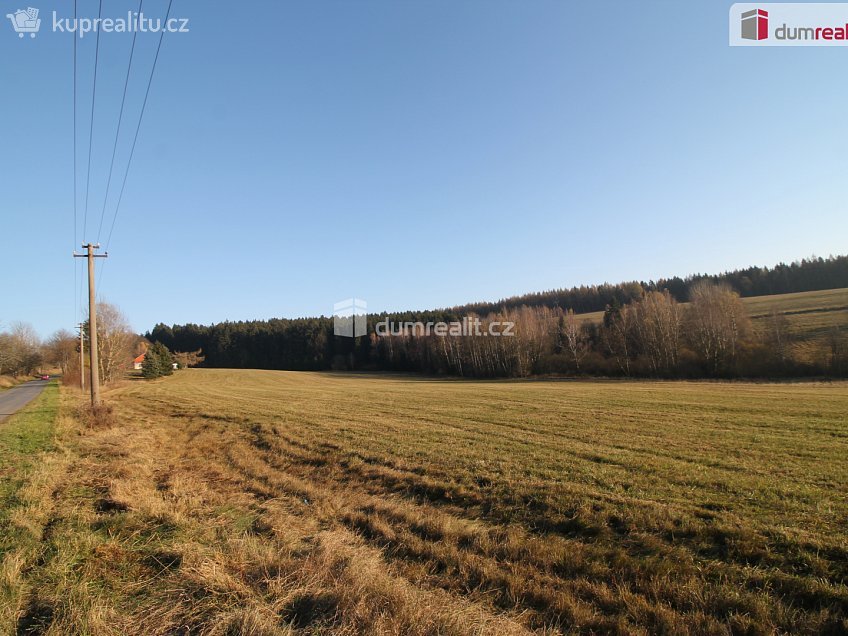 Prodej  rodinného domu 350 m^2 Kraslice, Kraslice 