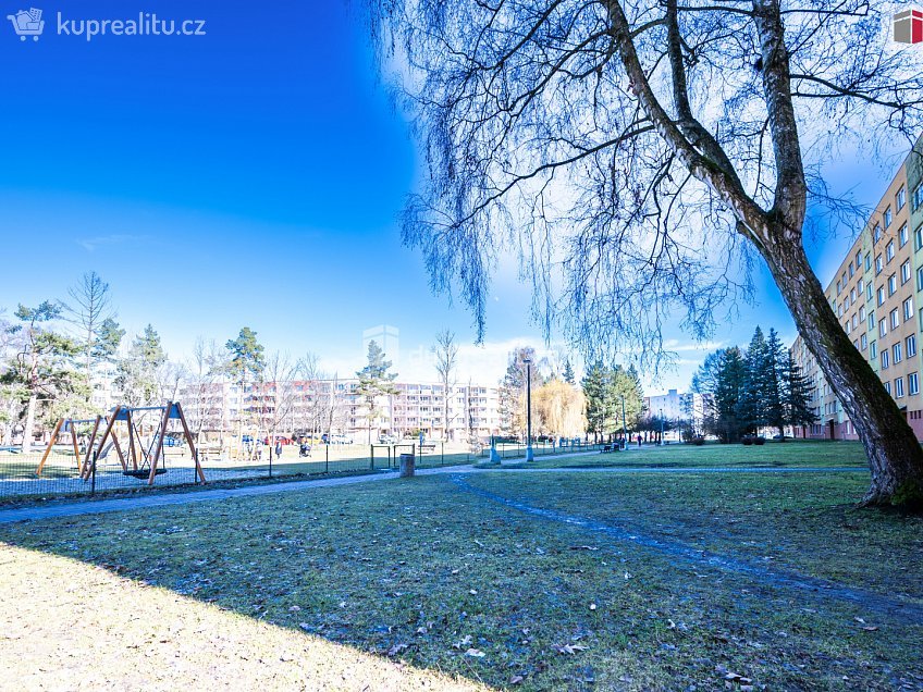 Prodej bytu 1+1 39 m^2 Plzeňská, České Budějovice 