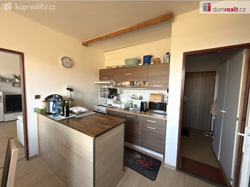 Pronájem bytu 1+1 37 m^2 Hrbovická, Chlumec 