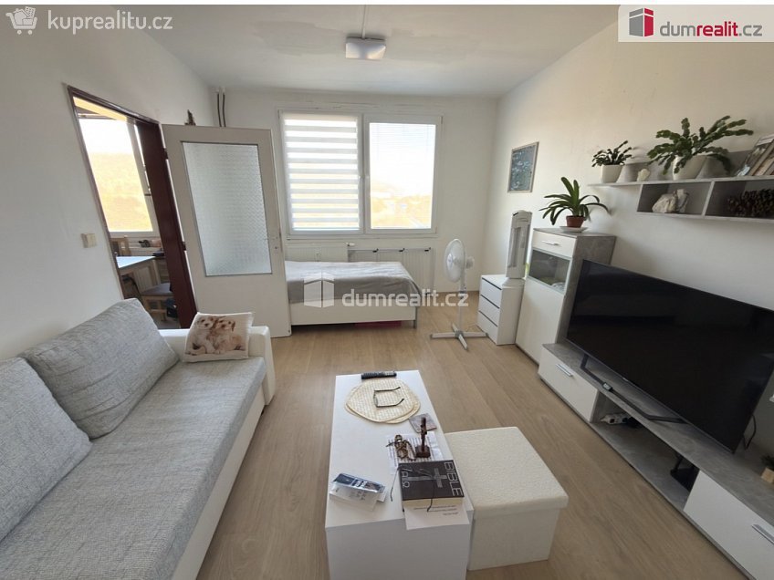 Pronájem bytu 1+1 37 m^2 Hrbovická, Chlumec 