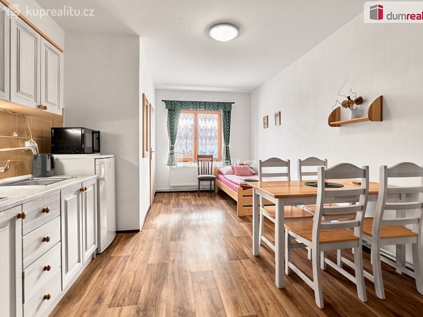 Prodej  ubytovacího zařízení 570 m^2 Chelčického, Chlum u Třeboně 