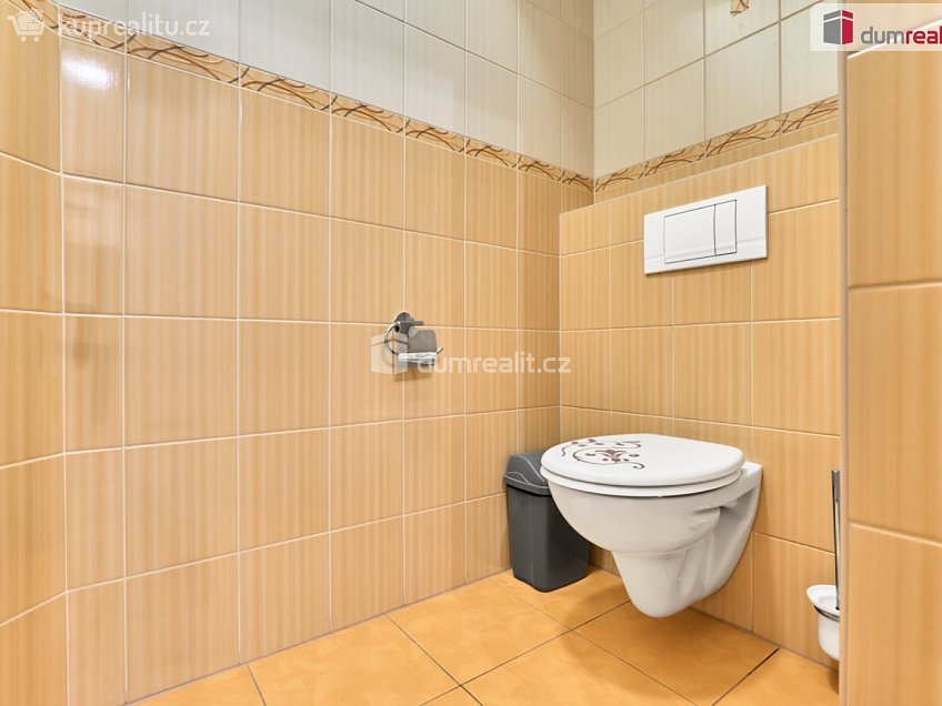 Prodej  ubytovacího zařízení 570 m^2 Chelčického, Chlum u Třeboně 