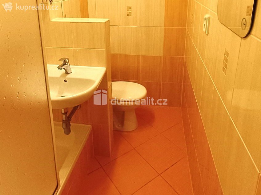 Pronájem bytu 1+1 36 m^2 Vítova, Děčín 
