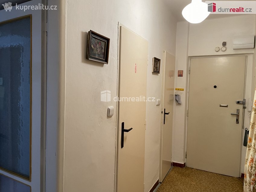 Pronájem bytu 2+1 51 m^2 Nálepkova, Ostrava 