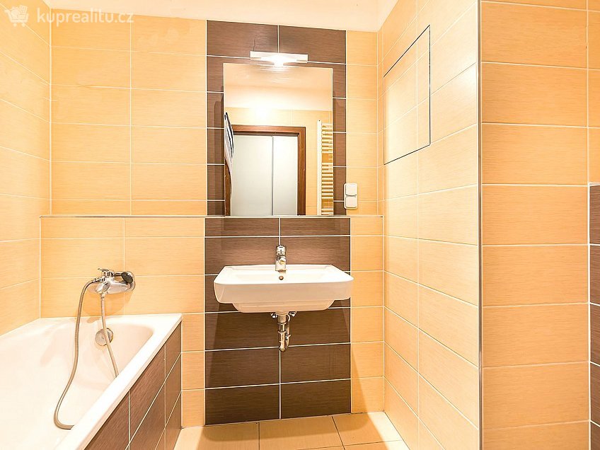 Pronájem bytu 1+1 42 m^2 U Leskavy, Brno 62500