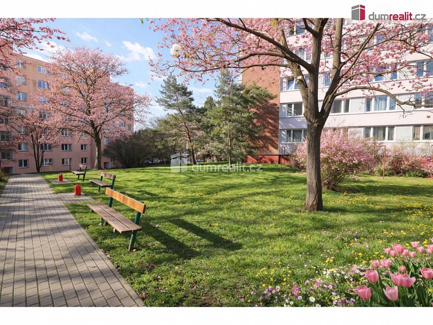 Prodej bytu 3+1 81 m^2 Jabloňová, Praha 10 