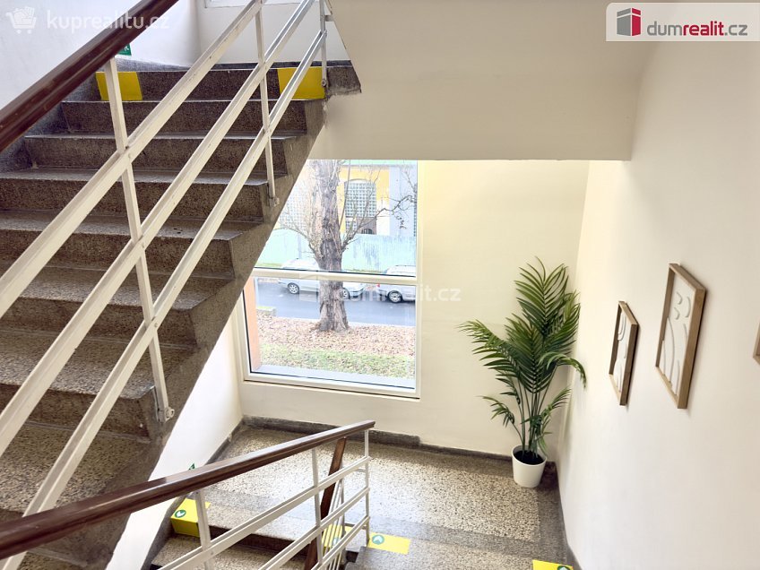 Pronájem bytu 2+1 52 m^2 Purkyňova, Ústí nad Labem 