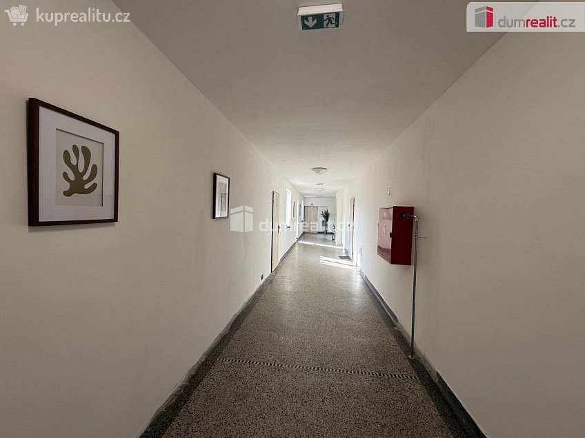 Pronájem bytu 2+1 52 m^2 Purkyňova, Ústí nad Labem 