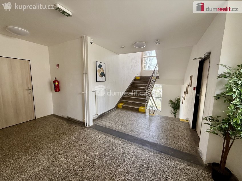 Pronájem bytu 2+kk 38 m^2 Purkyňova, Ústí nad Labem 