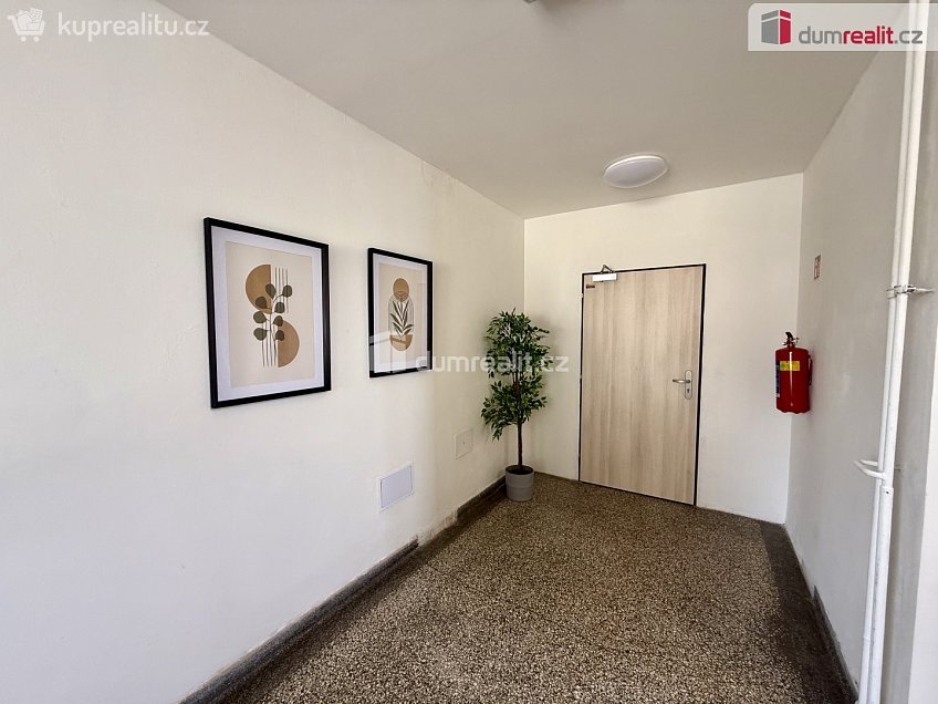 Pronájem bytu 2+kk 38 m^2 Purkyňova, Ústí nad Labem 