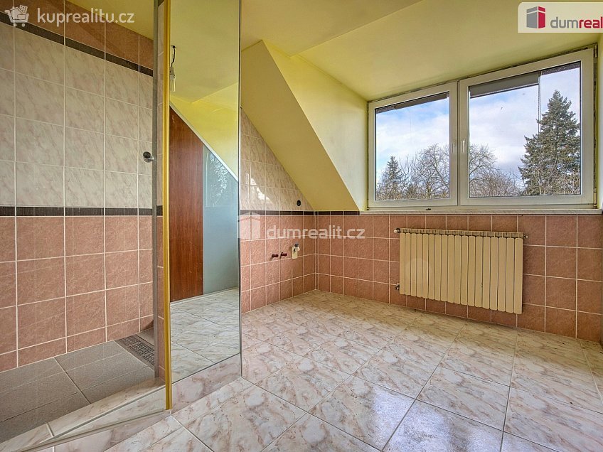 Prodej  rodinného domu 228 m^2 Mánesova, Neratovice 