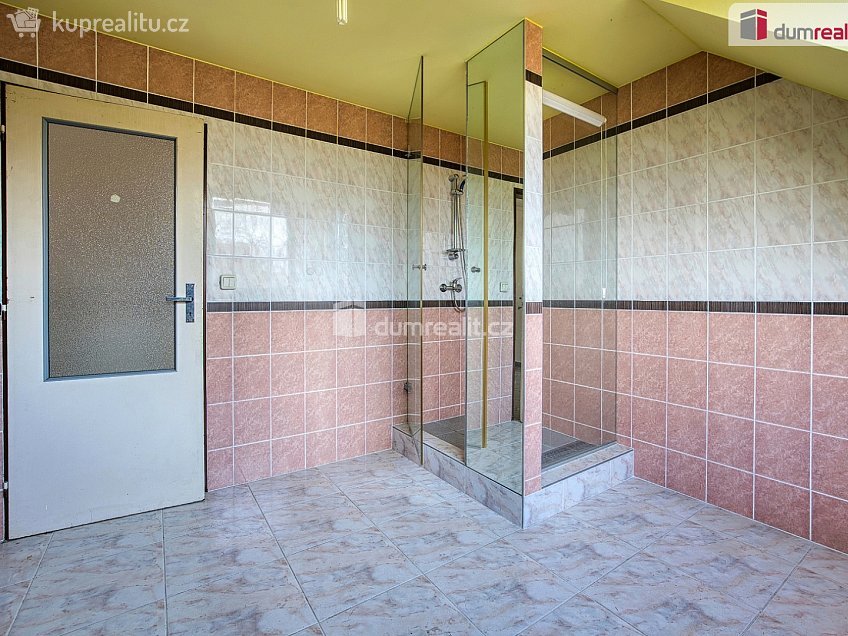 Prodej  rodinného domu 228 m^2 Mánesova, Neratovice 