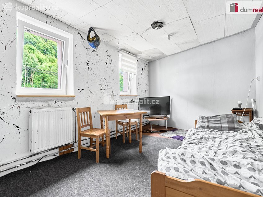 Prodej  rodinného domu 380 m^2 tř. Čs. armády, Jáchymov 