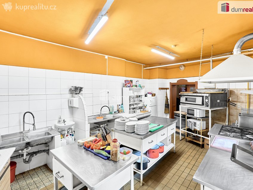 Prodej  rodinného domu 380 m^2 tř. Čs. armády, Jáchymov 