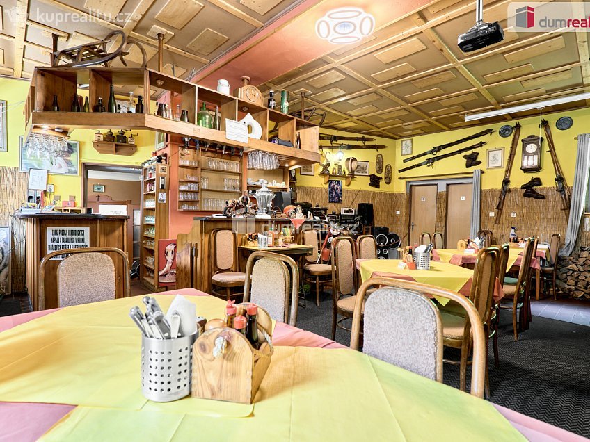 Prodej  rodinného domu 380 m^2 tř. Čs. armády, Jáchymov 