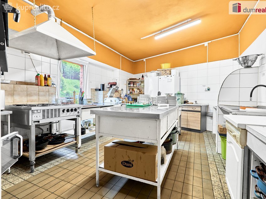 Prodej  rodinného domu 380 m^2 tř. Čs. armády, Jáchymov 