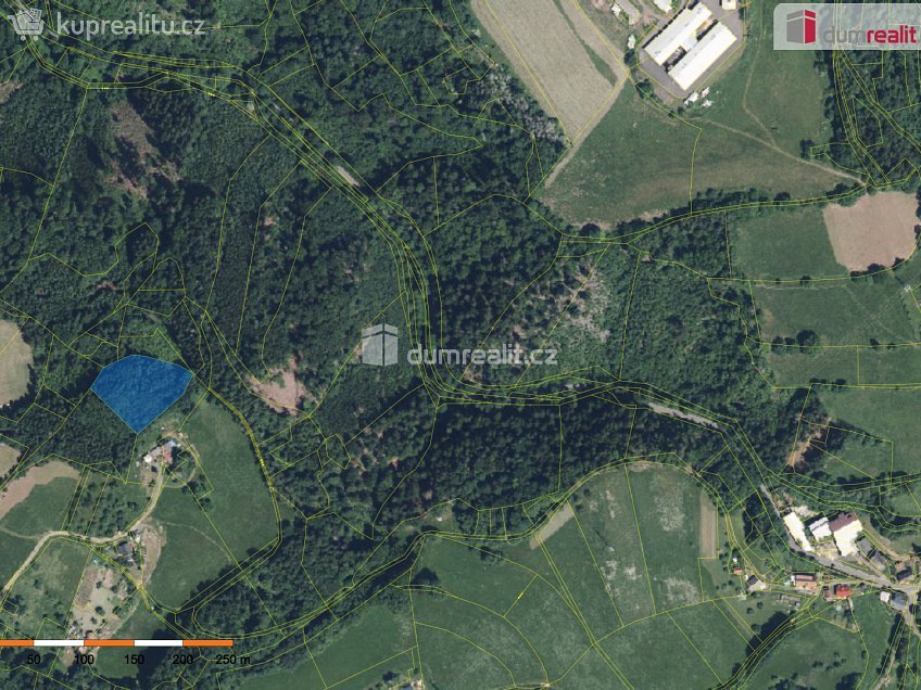 Prodej  lesa 4773 m^2 Semily, Semily 