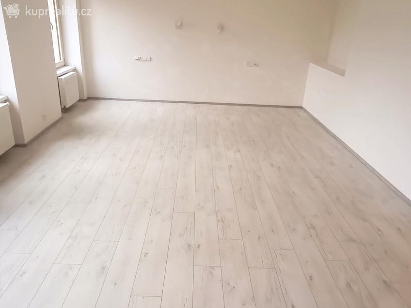 Pronájem bytu 2+kk 65 m^2 Elišky Krásnohorské, Ústí nad Labem 