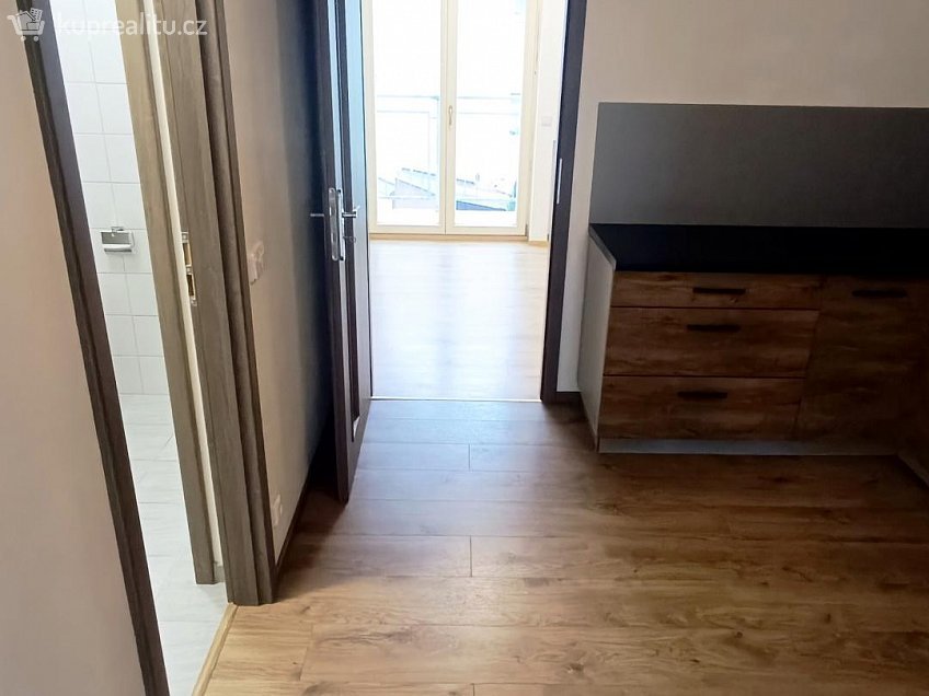 Pronájem bytu 2+kk 65 m^2 Elišky Krásnohorské, Ústí nad Labem 