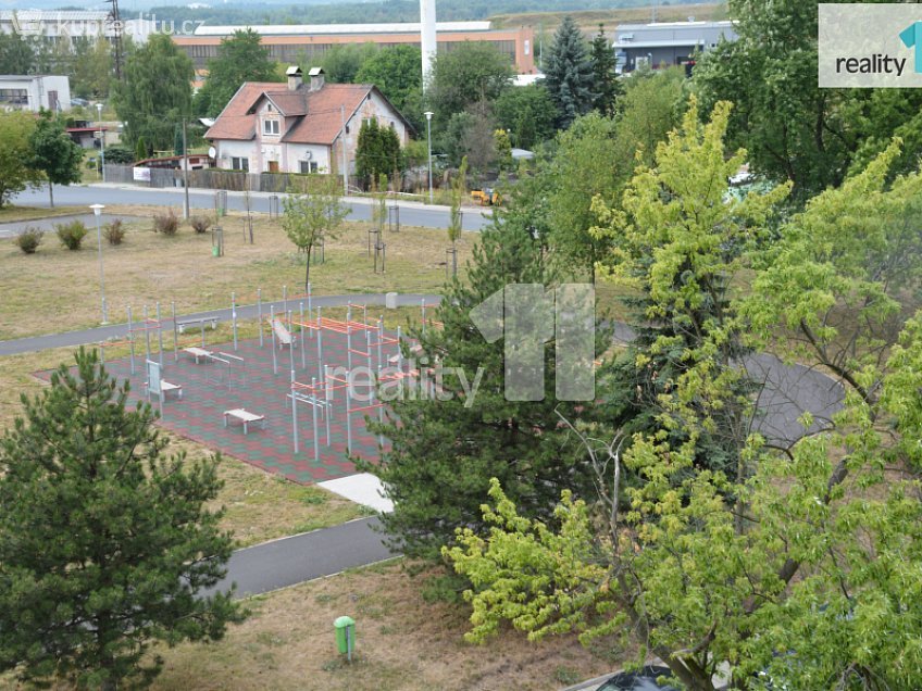 Pronájem bytu 1+kk 19 m^2 Revoluční, Nové Sedlo 