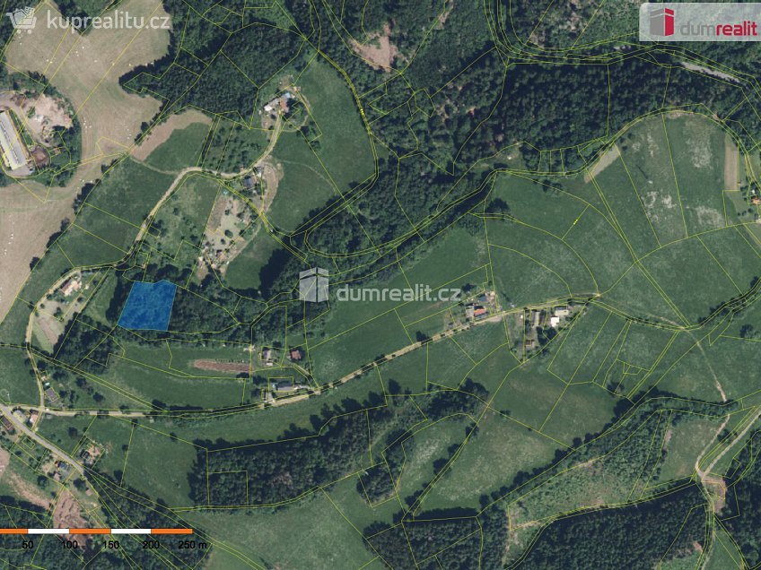 Prodej  lesa 3301 m^2 Semily, Semily 