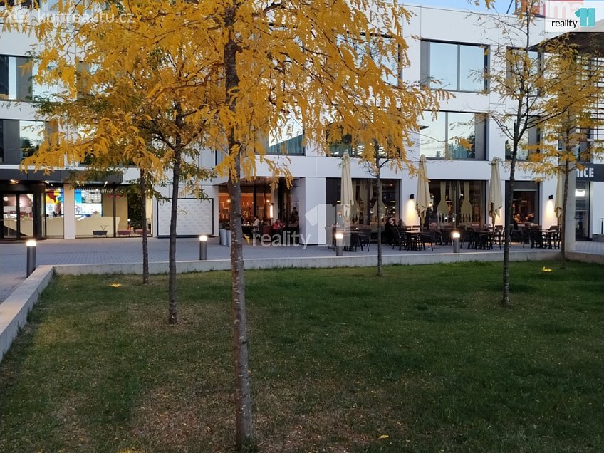 Prodej bytu 2+kk 38 m^2 Vinohradská, Praha 10 