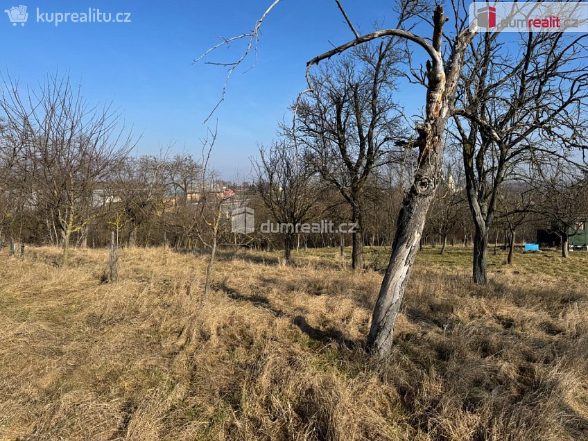 Prodej  zahrady 668 m^2 Rataje, Rataje 