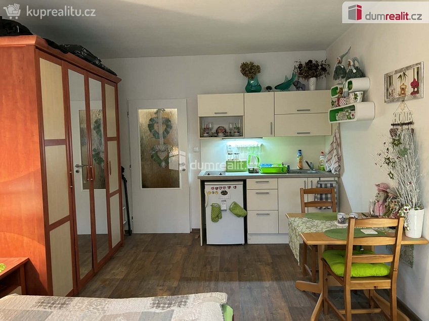 Pronájem bytu 1+kk 26 m^2 Leoše Janáčka, Luhačovice 