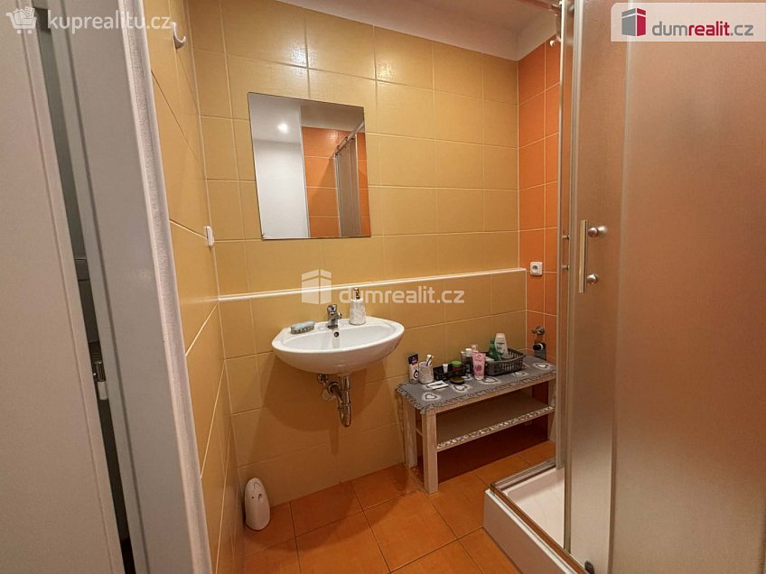 Pronájem bytu 1+kk 26 m^2 Leoše Janáčka, Luhačovice 