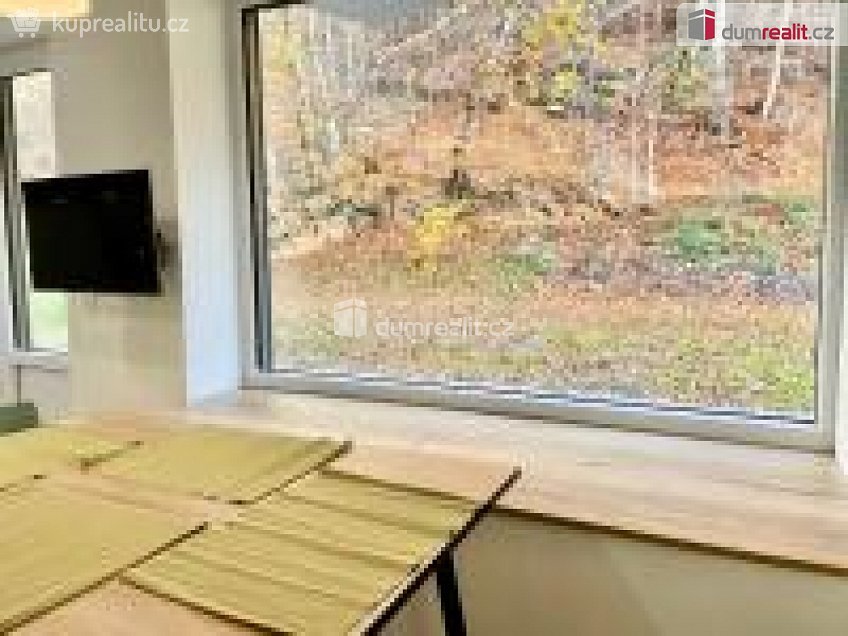 Prodej bytu 1+kk 32 m^2 K Lanovce, Jáchymov 