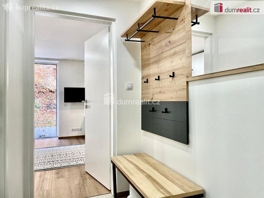 Prodej bytu 1+kk 32 m^2 K Lanovce, Jáchymov 