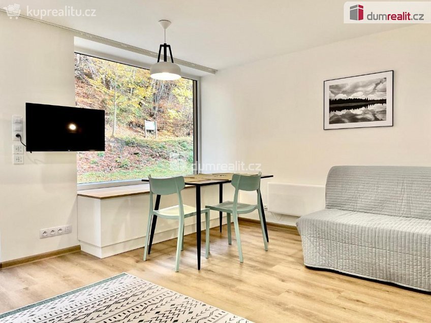 Prodej bytu 1+kk 32 m^2 K Lanovce, Jáchymov 